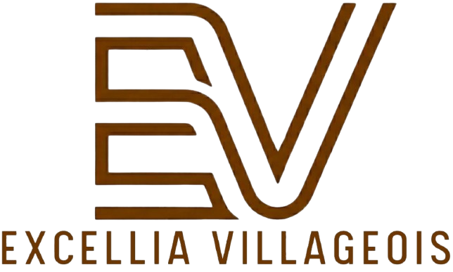 Excellia Villageois Logo